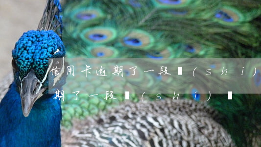 信用卡逾期了一段時(shí)間(信用卡逾期了一段時(shí)間)