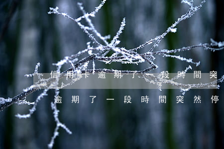 信用卡逾期了一段時間突然停息了-信用卡逾期了一段時間突然停息了怎么辦