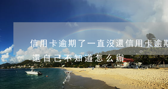 信用卡逾期了一直沒還(信用卡逾期了一直沒還,自己不知道怎么辦)