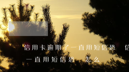 信用卡逾期了一直用短信恐嚇 信用卡逾期了一直用短信恐嚇怎么辦