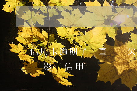 信用卡逾期了一直還錢(欠信用卡逾期還了還會影響信用嗎)
