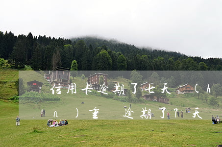 信用卡逾期了七天會(huì)很嚴(yán)重嗎(逾期了7天嚴(yán)重嗎)