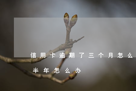 信用卡逾期了三个月怎么办(信用卡3万逾期半年怎么办)