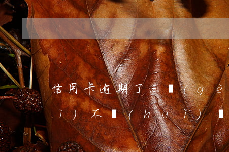 信用卡逾期了三個(gè)月公安會(huì)不會(huì)來抓人-信用卡逾期了三個(gè)月公安會(huì)不會(huì)來抓人呢