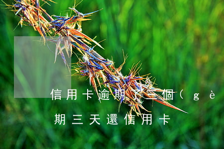 信用卡逾期了三個(gè)月又正常還款 逾期三天還信用卡