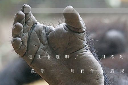 信用卡逾期了三個月不到一萬(三千的信用卡逾期一個月有什么后果)