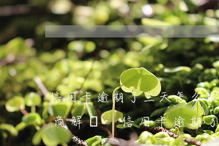 信用卡逾期了三天怎么跟銀行協(xié)商解決-信用卡逾期了三天怎么跟銀行協(xié)商解決呢