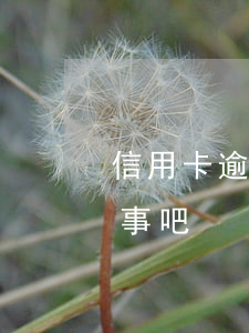 信用卡逾期了三天怎么辦(信用卡逾期三天沒事吧)