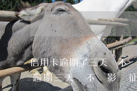 信用卡逾期了三天會不會影響征信-信用卡逾期三天會不會影響征信?