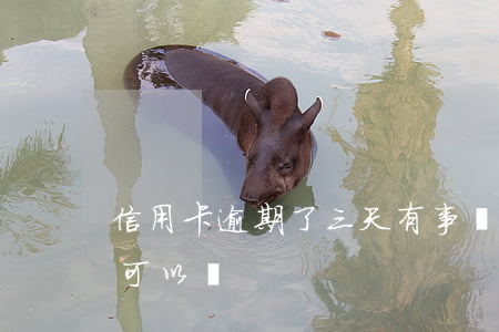 信用卡逾期了三天有事嗎(我信用卡逾期一天可以嗎)
