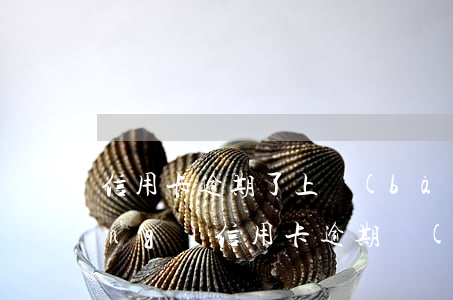 信用卡逾期了上報(bào)公安網(wǎng)(信用卡逾期會(huì)向公安機(jī)關(guān)報(bào)案嗎)