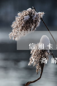 信用卡逾期了上征信怎么跟銀行協(xié)商解決-信用卡逾期了上征信怎么跟銀行協(xié)商解決呢