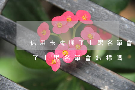 信用卡逾期了上黑名單會怎樣-信用卡逾期了上黑名單會怎樣嗎