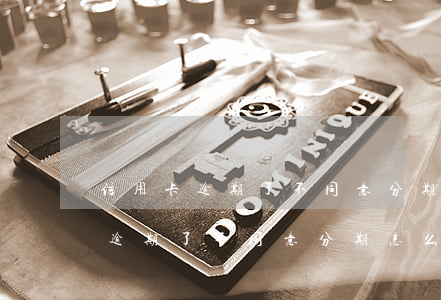 信用卡逾期了不同意分期怎么投訴-信用卡逾期了不同意分期怎么投訴他