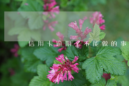 信用卡逾期了不能做的事(信用卡逾期有事嗎)
