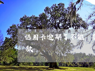 信用卡逾期了不能貸款么(信用卡逾期不能貸款嗎)