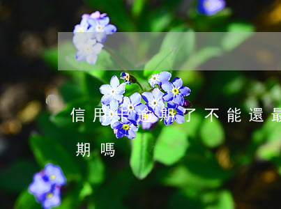 信用卡逾期了不能還最低(還最低信用卡算逾期嗎)