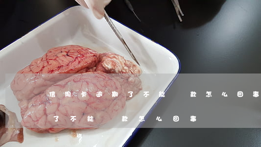 信用卡逾期了不能還款怎么回事 信用卡逾期了不能還款怎么回事