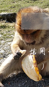 信用卡逾期了不能預(yù)借現(xiàn)金了(用預(yù)借現(xiàn)金還信用卡)