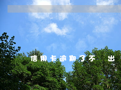 信用卡逾期了不讓出國(guó)嗎