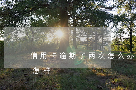 信用卡逾期了两次怎么办(信用卡两次逾期会怎样)