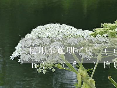 信用卡逾期了中國(guó)銀聯(lián)發(fā)信息給我-信用卡逾期了中國(guó)銀聯(lián)發(fā)信息給我是真的嗎