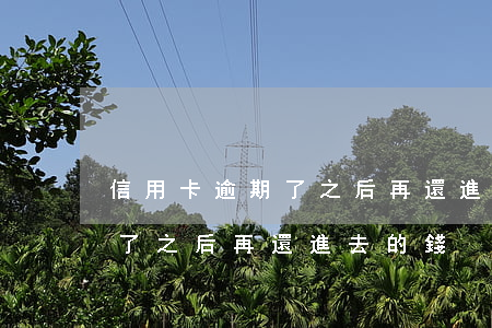 信用卡逾期了之后再還進去的錢(信用卡逾期了之后再還進去的錢)