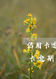 信用卡逾期了九天會(huì)怎么樣(信用卡逾期了九天會(huì)怎么樣)