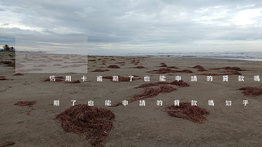 信用卡逾期了也能申請的貸款嗎-信用卡逾期了也能申請的貸款嗎知乎