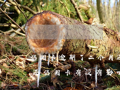信用卡逾期了二个月还了还能用吗(逾期两天还信用卡有没有影响)