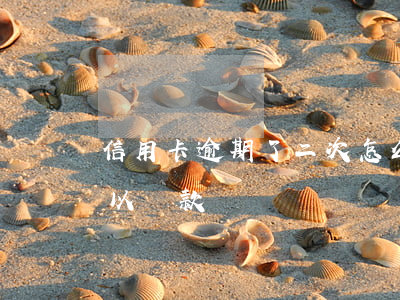 信用卡逾期了二次怎么辦(信用卡逾期二次可以貸款嗎)