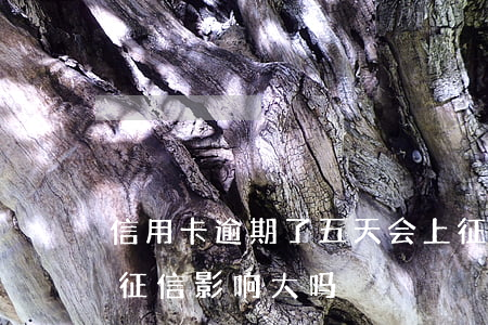 信用卡逾期了五天会上征信吗-逾期五天对征信影响大吗