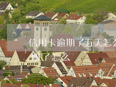 信用卡逾期了五天怎么辦(5萬以上信用卡逾期了怎么辦)