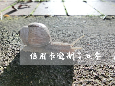 信用卡逾期了五年儲蓄卡還能用嗎