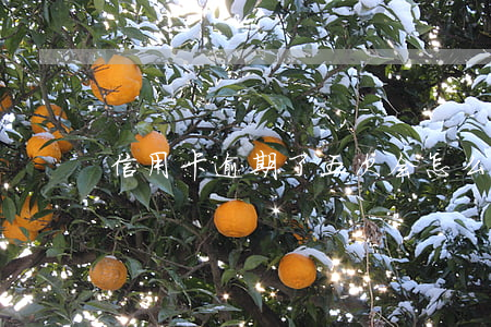 信用卡逾期了五次会怎么样(5次信用卡逾期)