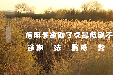 信用卡逾期了交最低刷不出來6-當信用卡逾期無法還最低還款該怎么處理