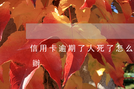 信用卡逾期了人死了怎么辦 人死了信用卡咋辦