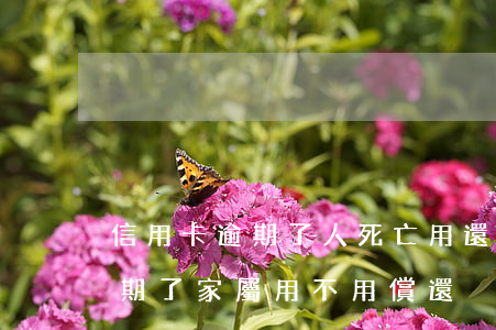 信用卡逾期了人死亡用還嗎(人死了信用卡逾期了家屬用不用償還)