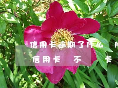 信用卡逾期了什么時候可以銷戶(有過逾期的信用卡該不該銷卡)
