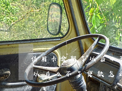 信用卡逾期了以后办不了贷款(信用卡逾期了以后办不了贷款怎么办)