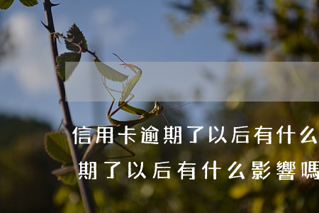 信用卡逾期了以后有什么影響嗎-信用卡逾期了以后有什么影響嗎知乎