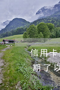 信用卡逾期了以后還能提額度嗎-信用卡逾期了以后還能提額度嗎?