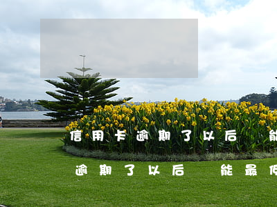 信用卡逾期了以后還能最低還款嗎-信用卡逾期了以后還能最低還款嗎怎么辦