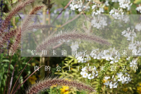 信用卡逾期了会上门来催收吗知乎(欠信用卡真的会上门核实跟去单位吗)