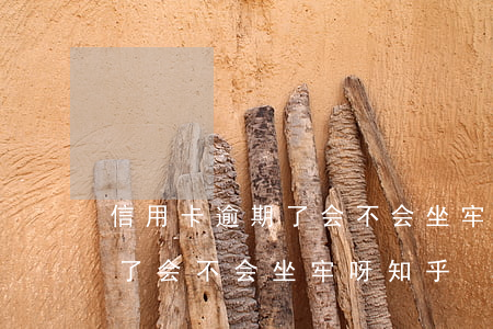 信用卡逾期了会不会坐牢呀知乎（信用卡逾期了会不会坐牢呀知乎）