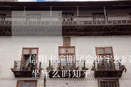 信用卡逾期了会坐牢么吗-信用卡逾期了会坐牢么吗知乎