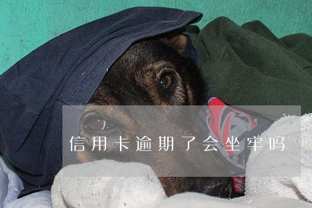 信用卡逾期了会坐牢吗