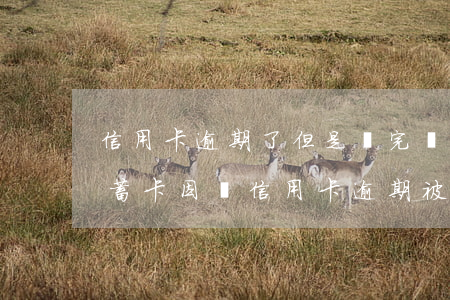 信用卡逾期了但是還完凍結(jié)了(儲蓄卡因為信用卡逾期被凍結(jié),可以在拖幾個月還款嗎)