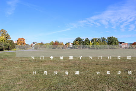 信用卡逾期了信用社能續(xù)貸嗎(信用社貸款逾期三天還能續(xù)貸嗎)