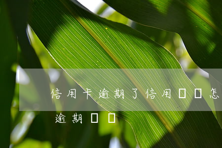 信用卡逾期了信用記錄怎么查(怎樣查信用卡逾期記錄)